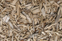 biomass boilers Plusha