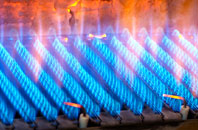 Plusha gas fired boilers