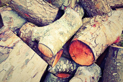 Plusha wood burning boiler costs